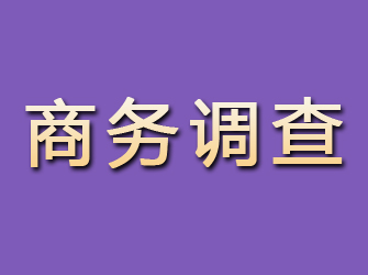 长汀商务调查